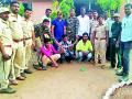 जवळा येथे सापाची तस्करी करणाºयांना अटक - Marathi News | The arrest of snake traffickers at Jawla | Latest yavatmal News at Lokmat.com
