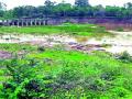 कोल्हापुरी बंधाऱ्याचा पुलाला धोका - Marathi News | Kolhapuri Dam bridge threatened | Latest yavatmal News at Lokmat.com