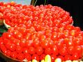 नाशिक जिल्ह्यात  भाव घसरल्याने टोमॅटो फेकण्याची वेळ - Marathi News | Time to throw tomato after falling in Nashik district | Latest nashik News at Lokmat.com