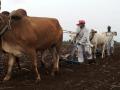 यांत्रिकीकरणासाठी शेतकऱ्यांना ६० टक्क्यांपर्यंत अनुदान - Marathi News | 60% subsidy to farmers for mechanization | Latest yavatmal News at Lokmat.com