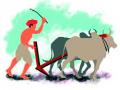 शेतकऱ्यांनो पेरणीची घाई नको - Marathi News | Farmers should not rush to sow | Latest yavatmal News at Lokmat.com