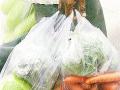 प्लास्टिक बंदीने औरंगाबाद जिल्ह्यातील ४० उद्योग ठप्प - Marathi News | Plastic ban aboard 40 industries in Aurangabad district | Latest chhatrapati-sambhajinagar News at Lokmat.com