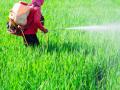 कीटकनाशक फवारणीमुळे दोन महिन्यांत १२१ जणांना विषबाधा - Marathi News |  121 people poisoned in two months due to pesticide spraying | Latest akola News at Lokmat.com