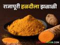 turmeric Market: सांगलीत राजापूरी हळदीला झळाळी, क्विंटलमागे असा भाव मिळतोय - Marathi News | | Latest agriculture News at Lokmat.com
