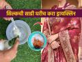 साडी ड्रायक्लिनिंगला खूप पैसे जातात? घरीच करा ड्रायक्लिनिंग, सिल्कची साडी दिसेल नव्यासारखी - Marathi News | Know How To Dry-clean Silk Saree at Home : Does saree dry cleaning cost a lot? Dry cleaning at home, silk saree will look like new | Latest sakhi News at Lokmat.com