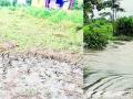 तीन तालुक्यातील 12 महसूल मंडळात अतिवृष्टी - Marathi News | Heavy rains in 12 revenue circles in three talukas | Latest bhandara News at Lokmat.com