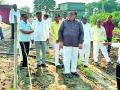 शेतीपूरक व्यवसायाला शेतकऱ्यांनी प्राधान्य द्यावे - Marathi News | Farmers should give priority to the farming profession | Latest chandrapur News at Lokmat.com