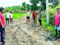 लगाम गावात चिखलाचे साम्राज्य - Marathi News | Mud empire in the village of Hallam | Latest gadchiroli News at Lokmat.com