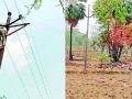 १० तासानंतर वीज सुरळीत - Marathi News | Power on after 10 hours | Latest gadchiroli News at Lokmat.com