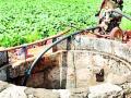 केवळ ६७ हजार हेक्टर शेतीला सिंचन सुविधा - Marathi News | Irrigation facility for farming of only 67 thousand hectare | Latest gadchiroli News at Lokmat.com