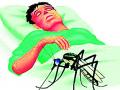 मागील वर्षभरात हिवतापाने घेतला आठ जणांचा बळी - Marathi News | Over the past year, malaria has claimed eight lives | Latest gadchiroli News at Lokmat.com