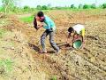 खरीपाच्या पेरणीसाठी शेतकरी सज्ज - Marathi News | Farmers ready for sowing of Kharif | Latest nashik News at Lokmat.com