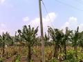 विजेचा धक्कयाने शेतकर्याचा मृत्यु - Marathi News | Farmer dies of electric shock | Latest nashik News at Lokmat.com