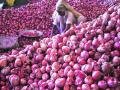 पाटोदा येथील उपबाजारात कांदा लिलावाची मागणी - Marathi News | Demand for onion auction in the sub-market of Patoda | Latest nashik News at Lokmat.com