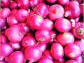 लासलगावी ८००१ रूपये लाल कांदा - Marathi News | Lasalgavi: Red onion for Rs | Latest nashik News at Lokmat.com