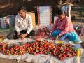 स्ट्रॉबेरी उत्पादकांच्या तोंडचे पाणी पळाले ! - Marathi News |  Water from the mouths of strawberry growers! | Latest nashik News at Lokmat.com