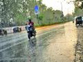 वादळी वाऱ्यासह पावसाच्या सरी - Marathi News | Cloudy with windy rain | Latest nashik News at Lokmat.com