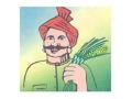 पिंपळणारे येथे शेतकरी मेळावा - Marathi News | Meet farmers at Pimpalnare | Latest nashik News at Lokmat.com