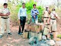 एक लाखाचा ३३० लिटर मोहा रसायन नाश - Marathi News | Destroy 330 liter of Liquor of one lakh | Latest vardha News at Lokmat.com
