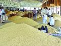सोयाबीन खरेदी हमी दराखालीच - Marathi News | Soybean purchase under guarantee guarantee | Latest yavatmal News at Lokmat.com
