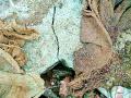 मुखत्यारपूरच्या पुलावरचे तडे थर्माकोलने झाकले - Marathi News | The cracks on the bridge of Mukhararpur covered the thermocoule | Latest yavatmal News at Lokmat.com