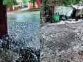 यवतमाळसह जिल्ह्यात पाऊस व गारांचा वर्षाव - Marathi News | Rain and hailstorm in Yavatmal district | Latest yavatmal News at Lokmat.com