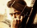 OMG! ‘टायगर जिंदा है’ पुन्हा रिलीज होणार; पण सलमान खान नाही दिसणार!! - Marathi News | Salman Khan’s Tiger Zinda Hai to be remade in Telugu with Gopichand portraying Khan’s role? | Latest filmy News at Lokmat.com