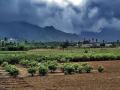 राज्यात १० जिल्ह्यात होणार कृषी हवामान पर्जन्य मापन केंद्रे - Marathi News | Agro-climatic rainfall measurement centers to be set up in 10 districts of the state | Latest pune News at Lokmat.com