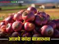 कोणत्या बाजार समितीत चांगला भाव मिळाला? जाणून घ्या आजचे कांदा बाजारभाव - Marathi News | Latest news 13 feb 2024 todays onion market price in nashik maharashtra | Latest agriculture News at Lokmat.com