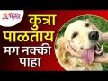 पाळीव कुत्र्याबद्दल महत्वपूर्ण माहिती | Important information about pet dogs | Facts about Pet Dogs - Marathi News | Important Information About Pet Dogs | Important information about pet dogs | Facts about Pet Dogs | Latest bhakti Videos at Lokmat.com