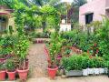पाेलीस मुख्यालयातील शासकीय निवासस्थान भासते नंदनवन - Marathi News | Paradise is the official residence of the Paelis headquarters | Latest bhandara News at Lokmat.com