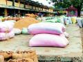 समिती यार्डात हजारो धान पोती उघड्यावर - Marathi News | Thousands of paddy sacks opened in the committee yard | Latest bhandara News at Lokmat.com