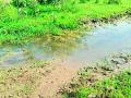 ‘ते’ पाणी अन्यत्र वळवा - Marathi News |  'They' turn the water elsewhere | Latest chandrapur News at Lokmat.com
