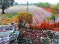 वादळी पाऊस, गारपिटीचा तडाखा - Marathi News | Windy rain, hailstorm | Latest chandrapur News at Lokmat.com