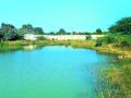 वेकोलिने अडविला इरई नदीचा प्रवाह - Marathi News | Waikolin blocked the Irai river flow | Latest chandrapur News at Lokmat.com