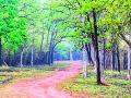 जंगलालगतच्या 471 गावांमध्ये संपणार वन विभागाची लुडबूड ! - Marathi News | Forest department's mess will end in 471 villages near the forest! | Latest chandrapur News at Lokmat.com