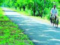 दोन रस्त्यांना जिल्हा मार्गाचा दर्जा - Marathi News | District road status for two roads | Latest chandrapur News at Lokmat.com