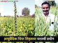 अमेरिकन चिया सिड्सचा डोंगरगावच्या मातीत यशस्वी प्रयोग, ३ किलोत एकरी ८ क्विंटलचा उतारा - Marathi News | Sowing of American chia seeds in Dongargaon soil, 8 quintal per acre at 3 kg | Latest agriculture News at Lokmat.com