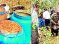 जंगलातील ३५ क्विंटल मोहसडवा नष्ट - Marathi News | 35 quintals of Mohsadwa destroyed in the forest | Latest gadchiroli News at Lokmat.com