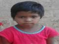 बेपत्ता बालिकेची निर्घृण हत्त्या - Marathi News | The untimely murder of the missing girl | Latest nashik News at Lokmat.com