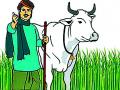 ग्रीन यादीत जिल्ह्यातील ४६ हजार शेतकरी - Marathi News | There are 46,000 farmers in the district on green list | Latest gondia News at Lokmat.com