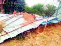 तालुक्याला गारपिटीने झोडपले - Marathi News | The taluka was hit by a hail | Latest gondia News at Lokmat.com