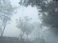 तापमान घसरल्याने जिल्हा गारठला - Marathi News | The district froze due to low temperature | Latest nandurbar News at Lokmat.com