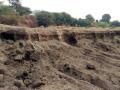 परभणी : दुधना नदीपात्रातून अवैध वाळूउपसा जोरात - Marathi News | Parbhani: Invalid slurry from Dudhna river belt | Latest parabhani News at Lokmat.com