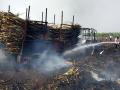 परभणी : ट्रॅक्टरसह दीड एकर ऊस जळाला - Marathi News | Parbhani: Burned 1.5 acres of sugarcane with tractor | Latest parabhani News at Lokmat.com