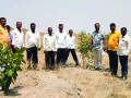 पंधरा हजार वृक्षसंवर्धनासाठी बिदालकरांची धडपड - Marathi News | Bidlalkar's struggle for the conservation of fifteen thousand trees | Latest satara News at Lokmat.com