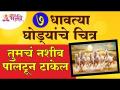 ७धावत्या घोड्यांचे चित्र तुमचे नशीब पालटून टाकेल | 7 running horses picture will change your destiny - Marathi News | Pictures of 7 Running Horses Will Change Your Destiny | 7 running horses picture will change your destiny | Latest bhakti Videos at Lokmat.com