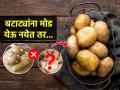 बटाटे सुकू नयेत, लवकर मोड येऊ नयेत म्हणून करा १ सोपा उपाय, बटाटे राहतील महिनाभर चांगले - Marathi News | Easy trick to store potato's from Rotting : Do 1 simple solution to prevent the potatoes from drying up and spoiling quickly, the potatoes will stay good for a month | Latest sakhi News at Lokmat.com