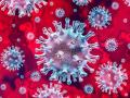 एकाच दिवसात १३६६ पॉझिटिव्ह,नगर शहरात ३८० रुग्ण वाढले - Marathi News | In a single day, 1366 positive, 380 patients were added in the city | Latest ahilyanagar News at Lokmat.com