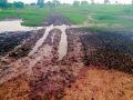 १४ गावांना रस्ताच नाही - Marathi News | 14 villages do not have roads | Latest chandrapur News at Lokmat.com